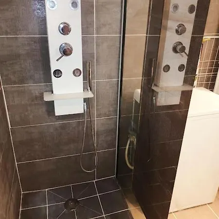 Appartement Grand Avec Mezzanine Voiron