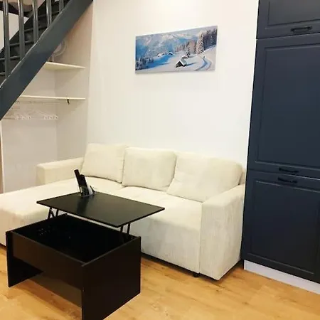 Apartment Grand Avec Mezzanine